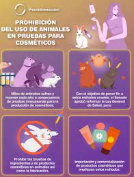  Senado aprueba Ley para prohibir pruebas cosméticas en animales