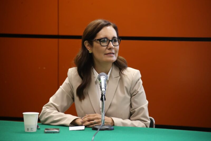  Urge crear plan institucionalizado  en materia de seguridad: Rocío Reza
