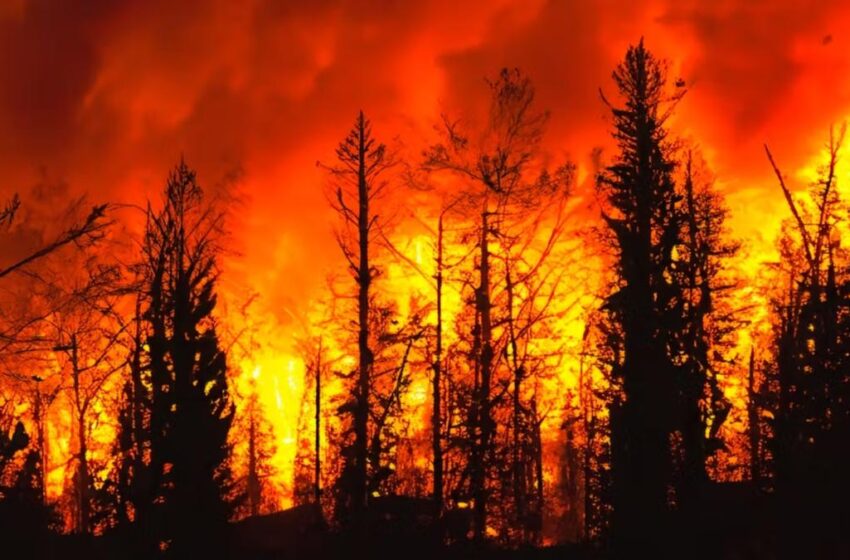  Portugal alerta por riesgo de incendios ante alza prevista de las temperaturas